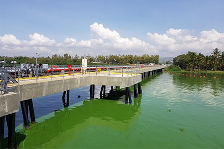 Port infrastructure development works